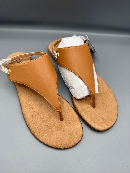 AEROSOLES Shoes - Aerosoles Women's Conclusion Sandals
